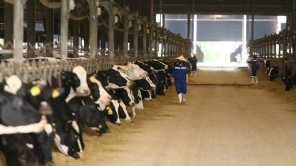 From thatched barns to green circulation in the livestock industry